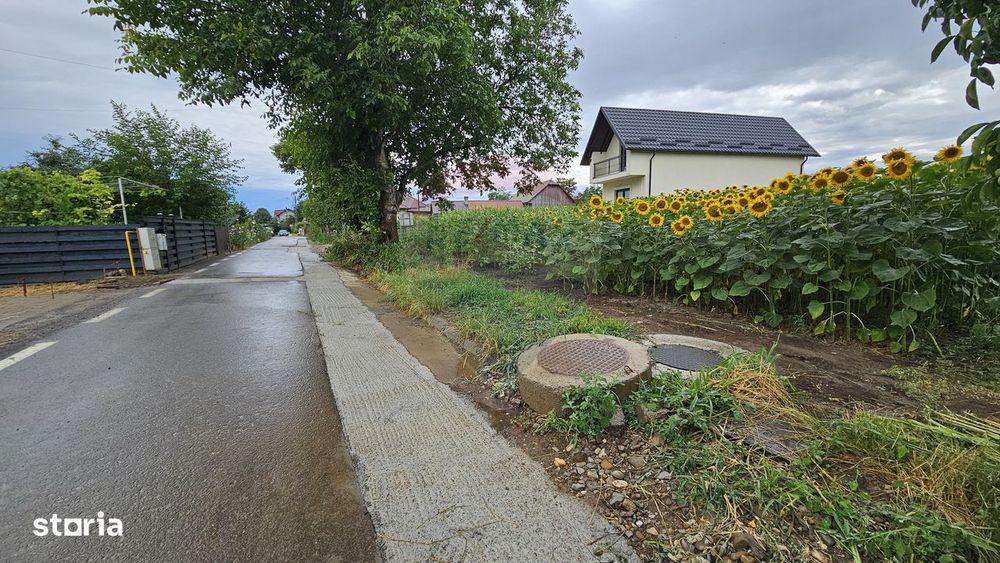 Teren intravilan 2600 mp de vânzare, Ipotești- Lisaura, Suceava
