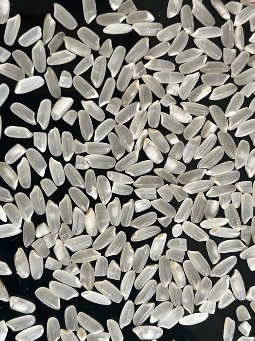 Күріш (рис) сатылады