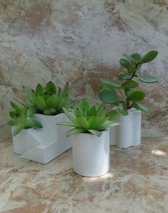 Гипсови кашпи декорирани със растения