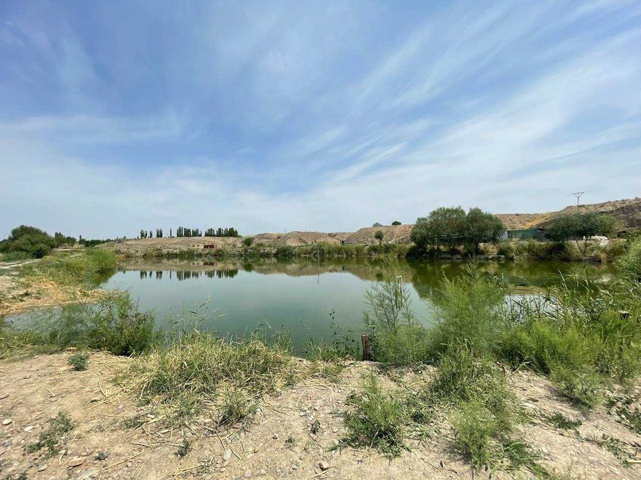 Готовый Бизнес (Рыбное Хозяйство)