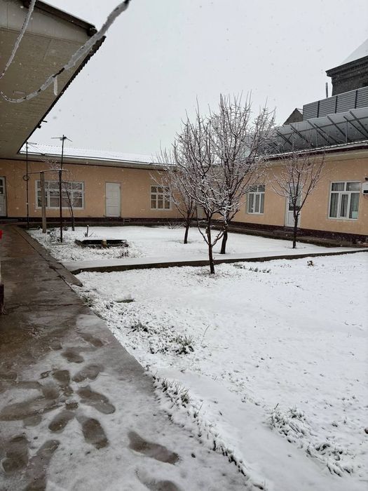 Бектемирский район