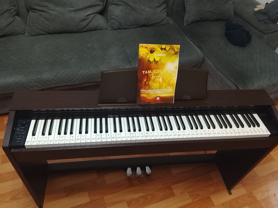 Синтезатор Casio Цифровое пианино