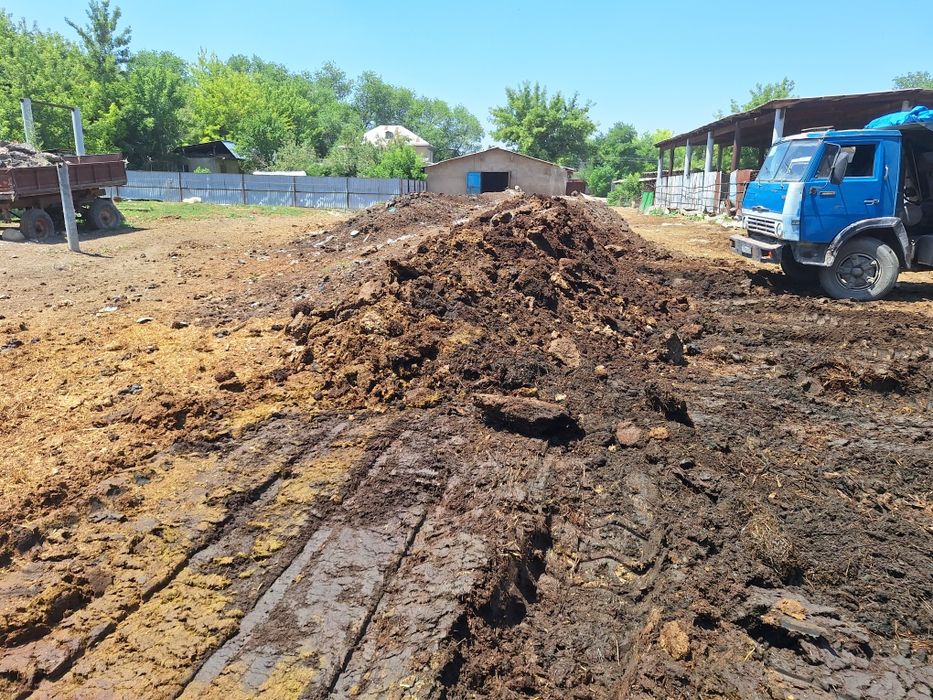 Навоз Конский, Чистый.