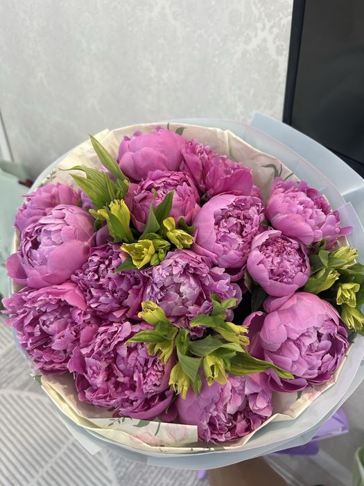 Продам цветы купили сегодня