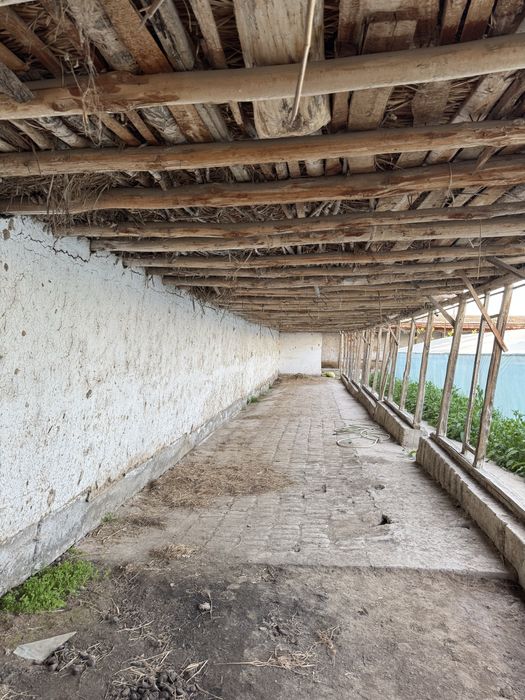 Yangiyol tumanida 65 sotix tayyor ferma va teplitsa sotiladi