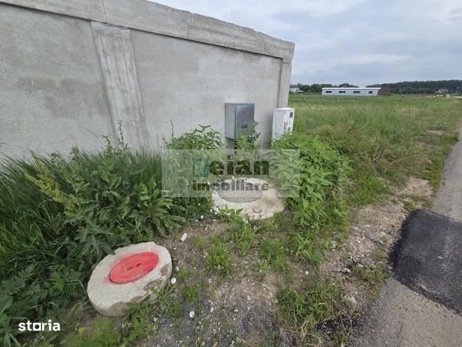 Ciolpani - Padure 1100 Mp, Toate Utilitatile, Padure, 26 Deschidere