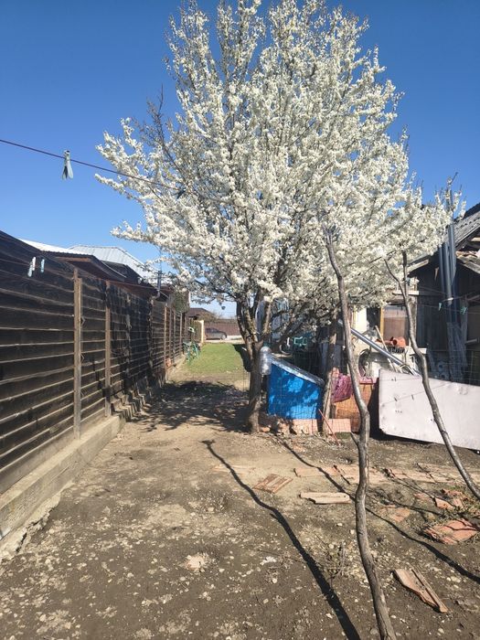 Casă de vânzare cu teren mare – 3.500 m², zonă liniștită