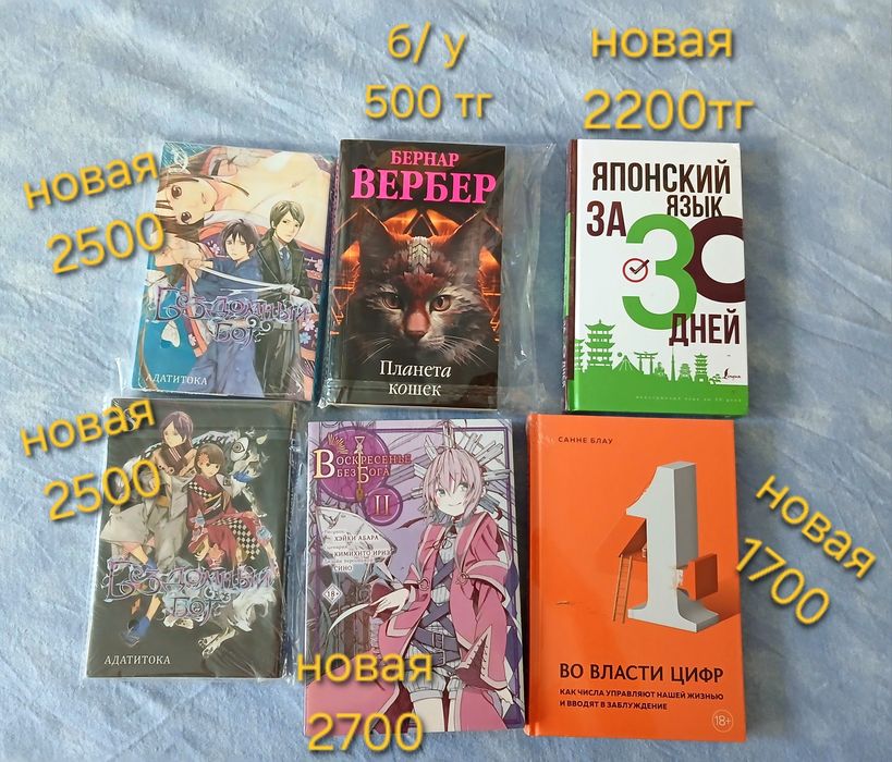 Книги , манга , бездомный бог , словарь