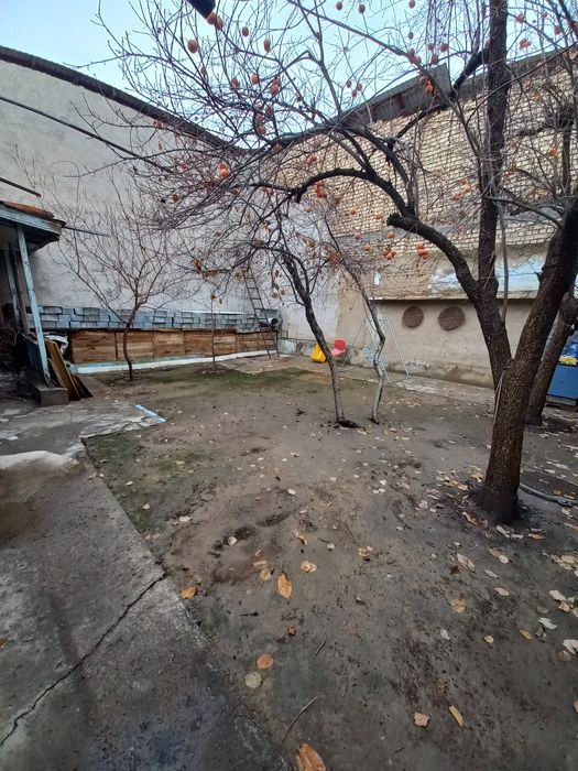 Продаётся 3-дома 1-линия Ракат площадью 9.6-сот Фасад;31-метров