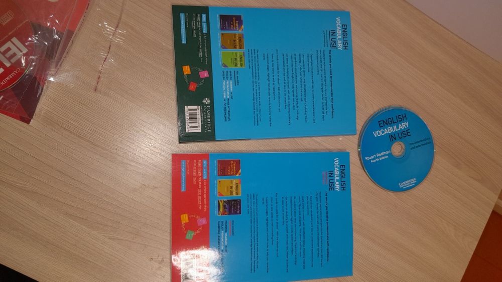 English vocabulary in use с диском