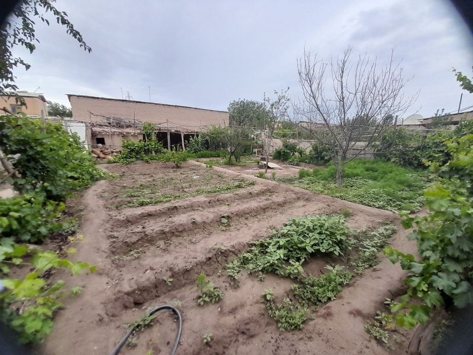 Двухэтажный дом с садом