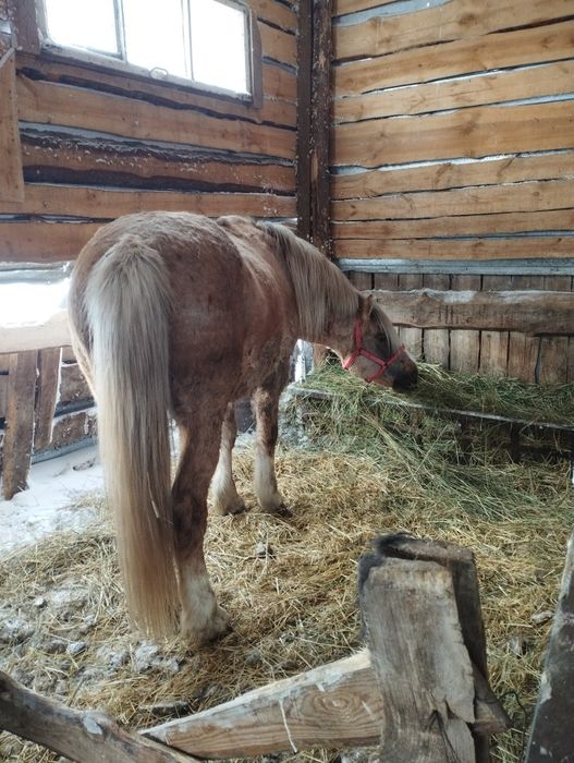 Атбасарский район