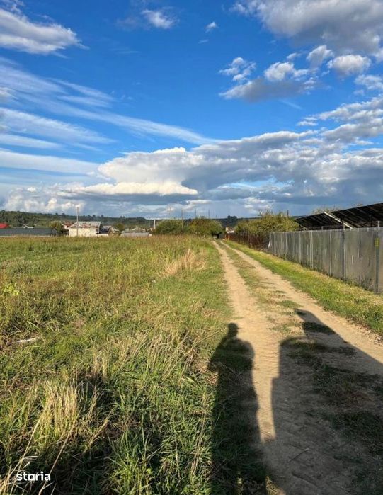 Teren intravilan de vanzare, ideal pentru constructie, Curtisoara, Olt
