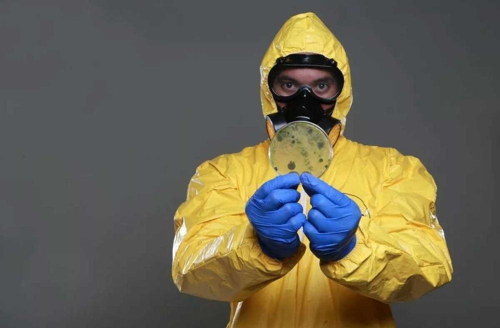 Дезинфекция от всех насекомых..