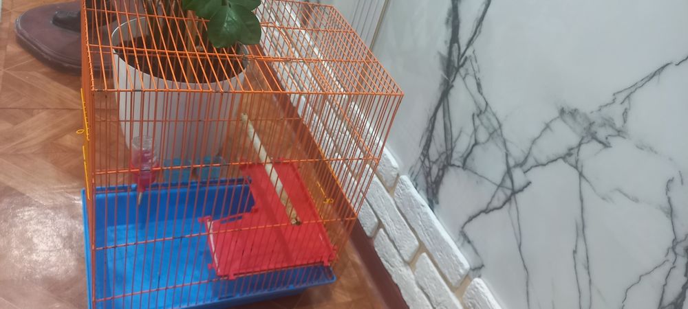 Клетка для попугаев и тд