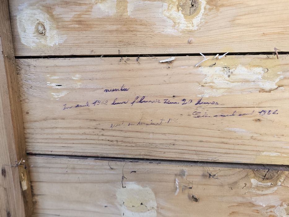 Lădoi vechi de vanzare