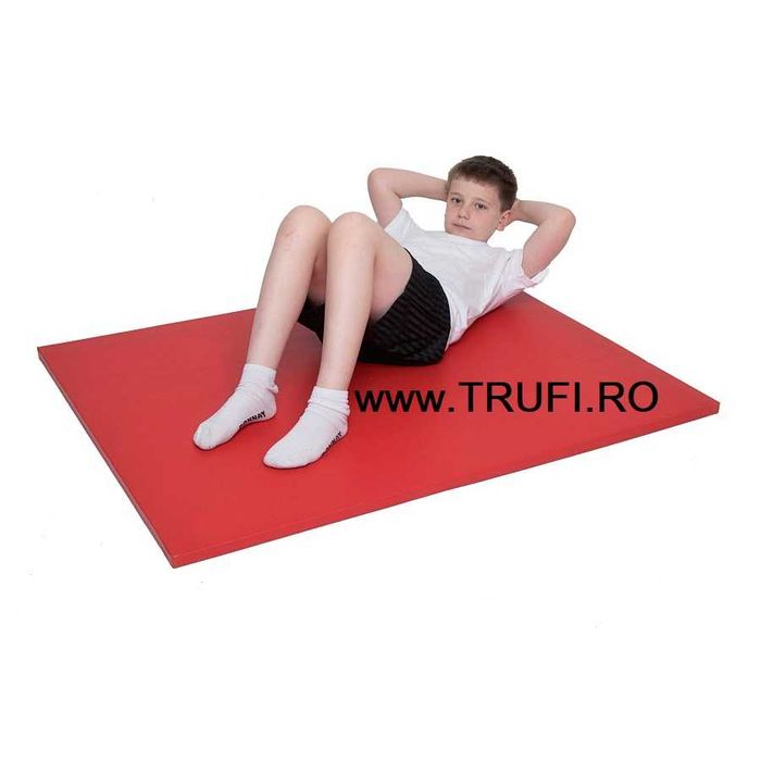 Saltele sport, gimnastica, judo, sala,    Producator, orice dimensiuni