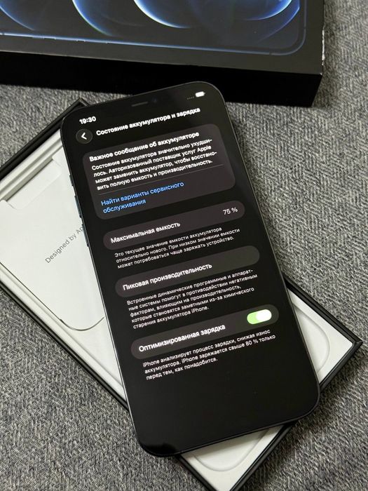 iPhone 12 Pro Max 256gb