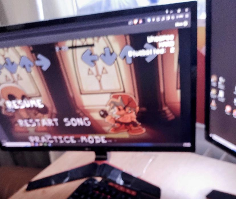 IPS Monitor gaming 24" 60 cm LG