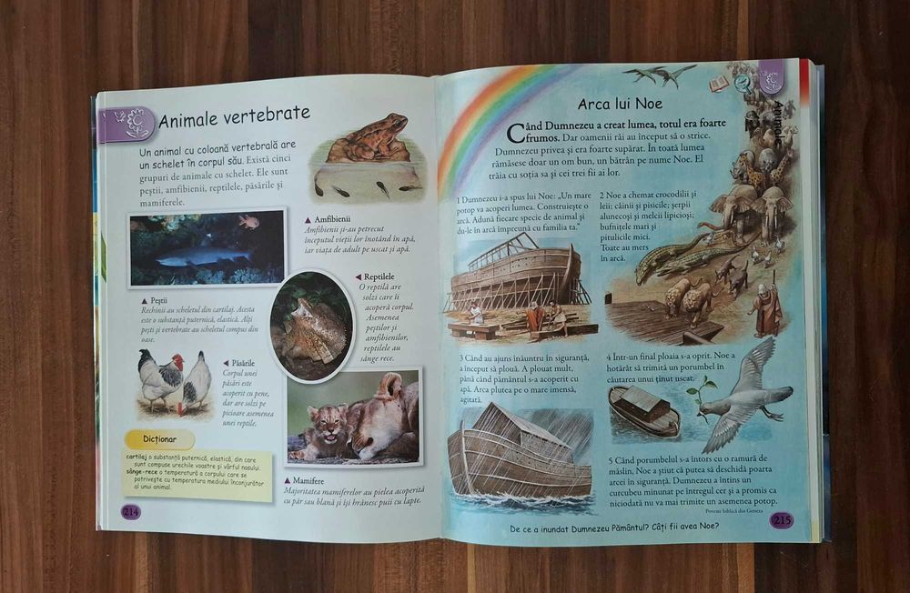 Particular! „Infopedia Enciclopedia Ilustrată” „Descoperă şi Învaţă”