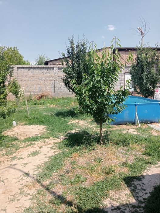 Уй сотилади Маданиятда.