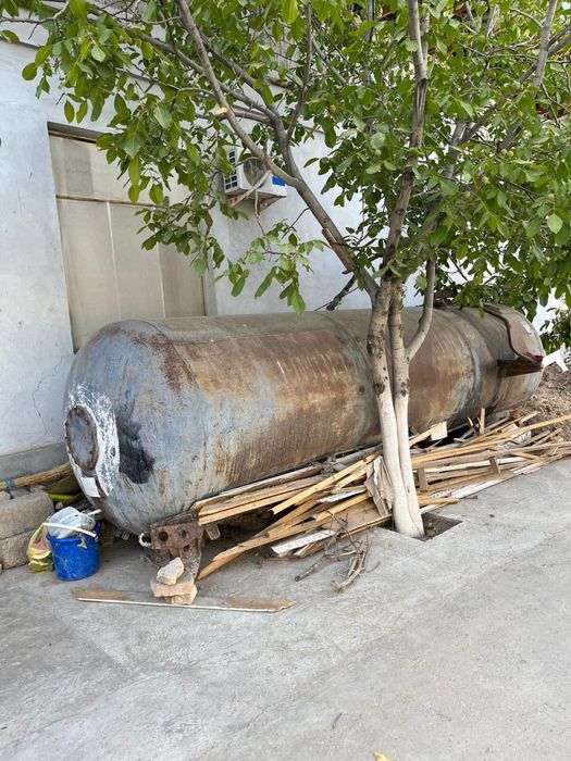 Shesterno sotiladi 10 t