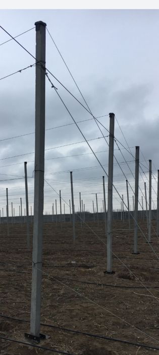 Бетонный стойки-Шпалера.Узумзор,богзор, ограждения учун 4.30м