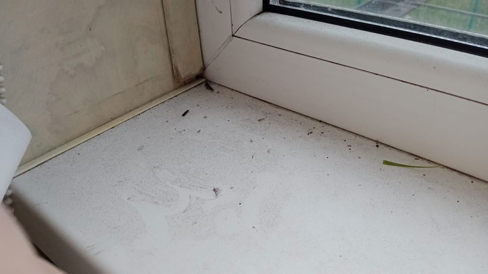 Уборка помещений