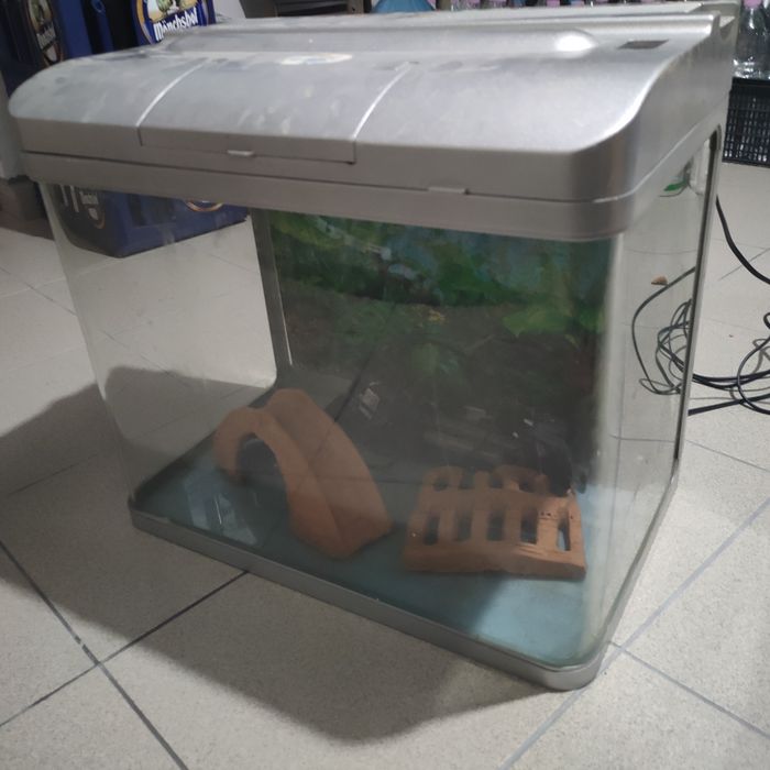 Аквариум за рибки