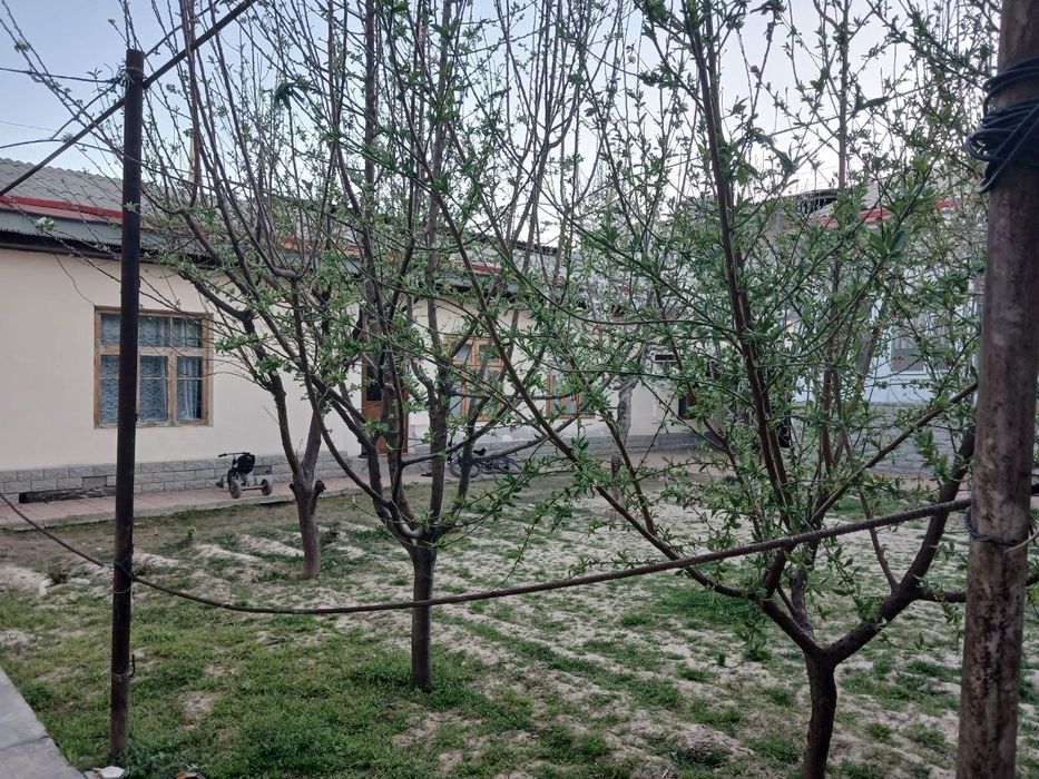 Yer narxida uchaska keles massivda srochna sotiladi