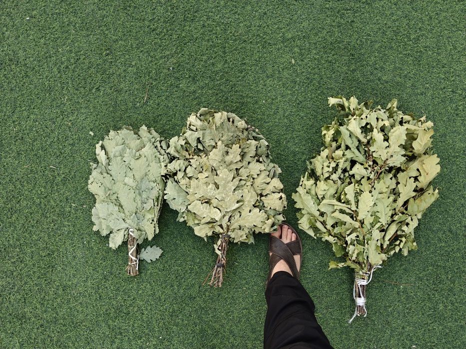 Веники для бани дубовые