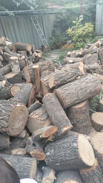 Дрова чурками 50000