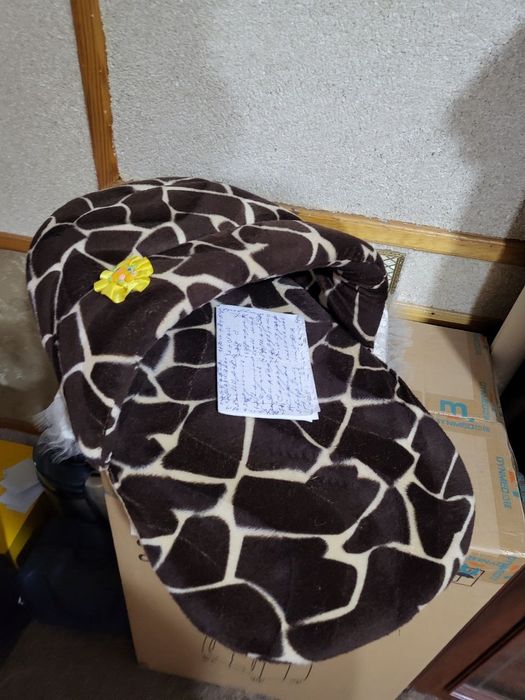 Дом для кошки в форме тапочка