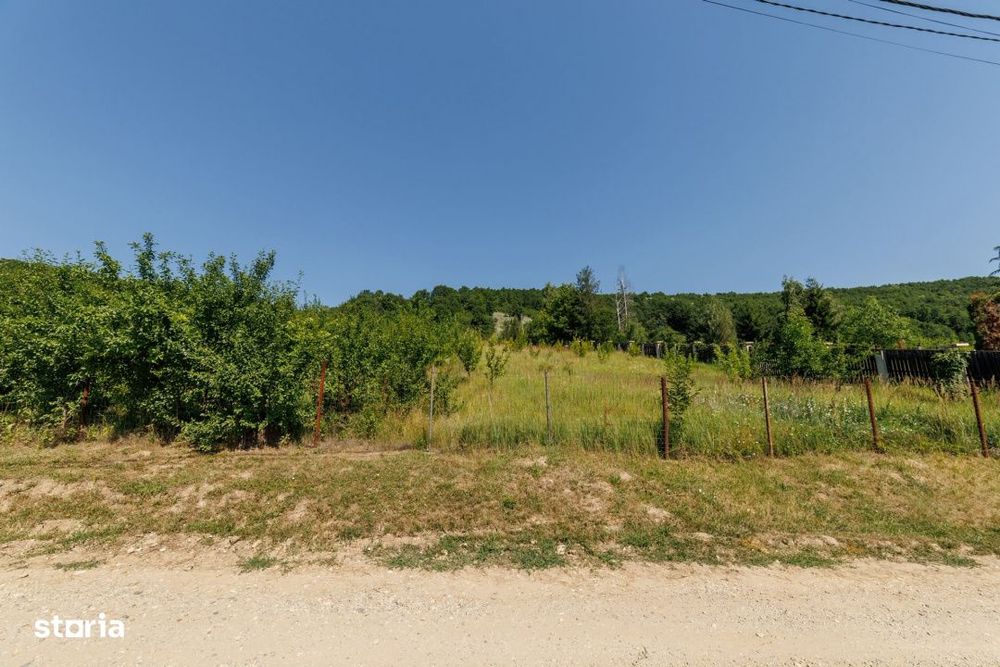 Teren Ștefanesti Valea Mare