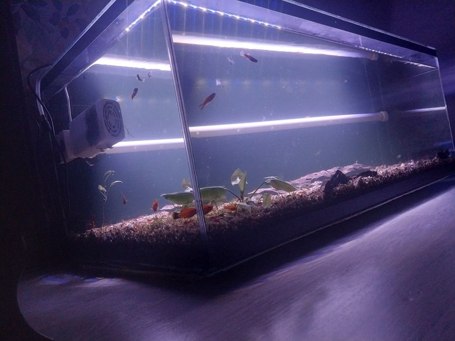 Продам аквариум 100л