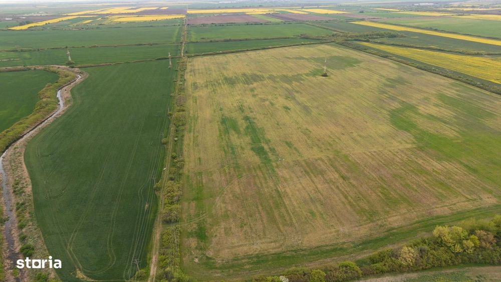 Teren investițional strategic 44.700 mp Arad Vest