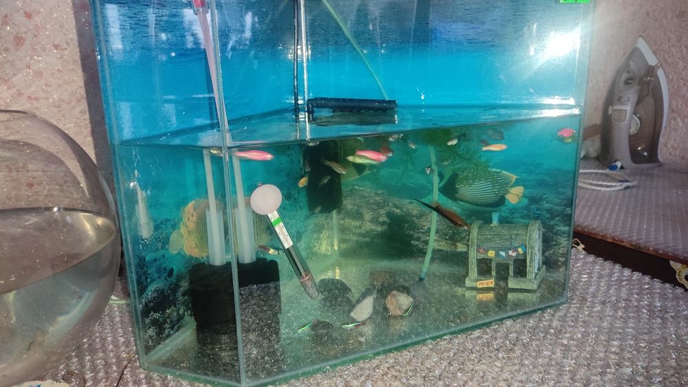 Продам аквариум с рыбками