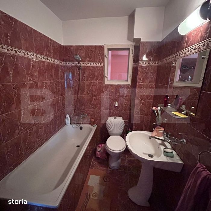 Proprietate 160 mp utili, 1.046 mp teren, centrul din Mosnita Veche