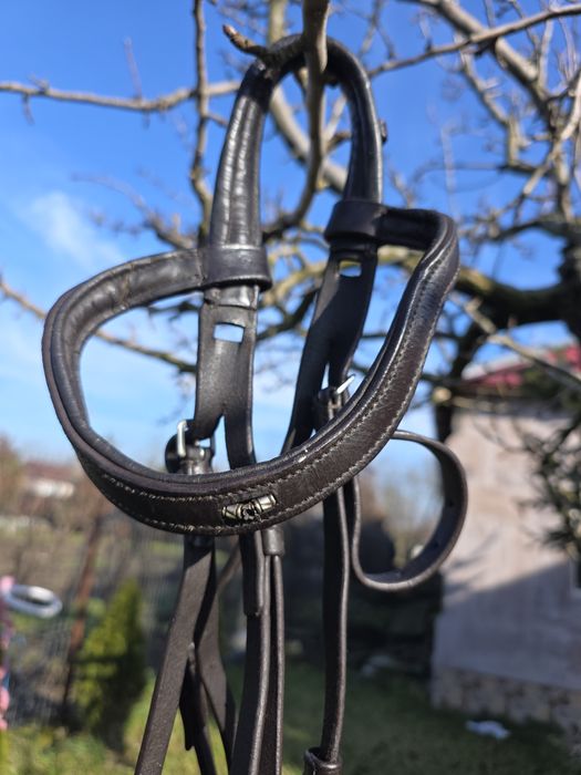 Căpăstru/căpețea călărie