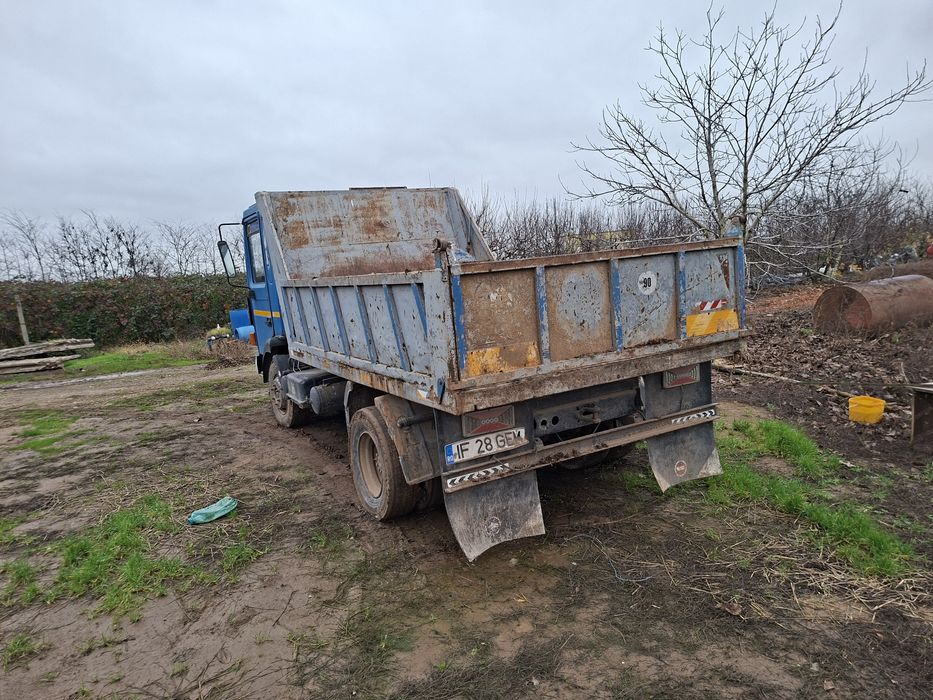 Frumumoasa Americana