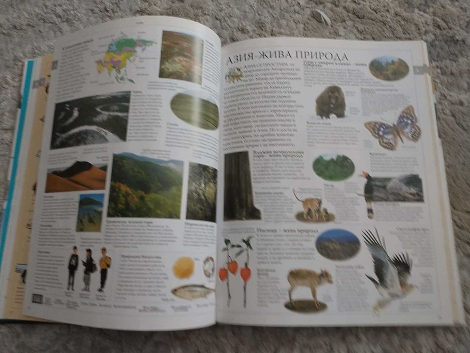 Голяма семейна енциклопедия