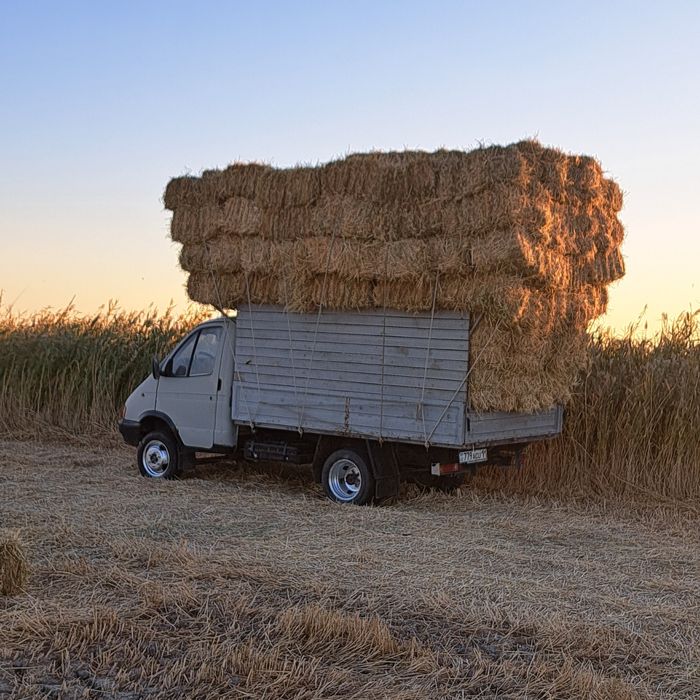 САБАН ПРЕС БАР доставка бар