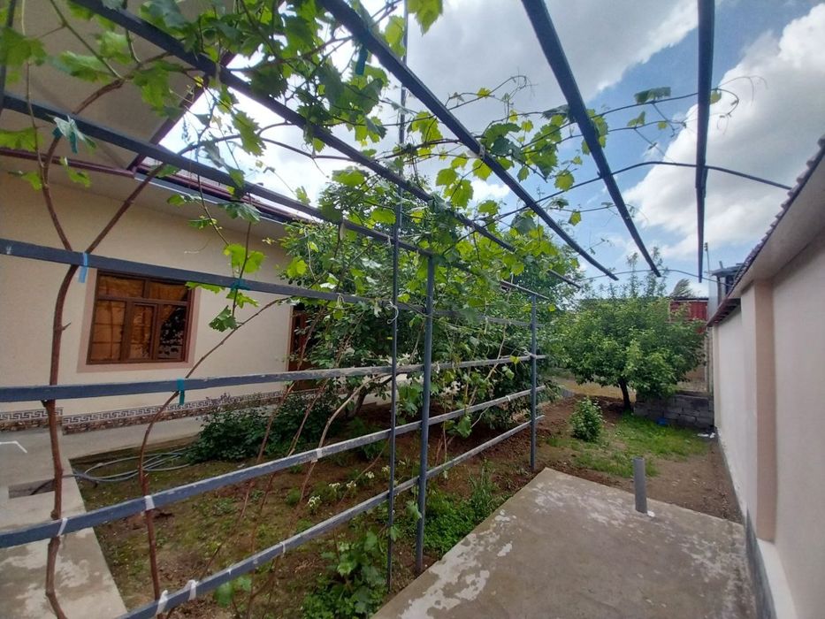 Qibrayda xovli sotiladi