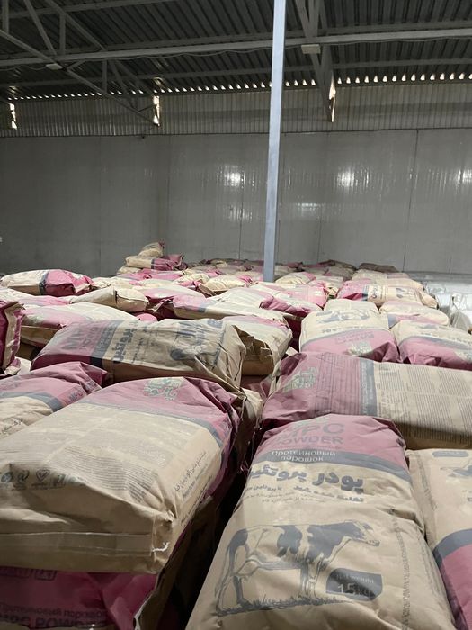 Протеиновый Порошок 56%