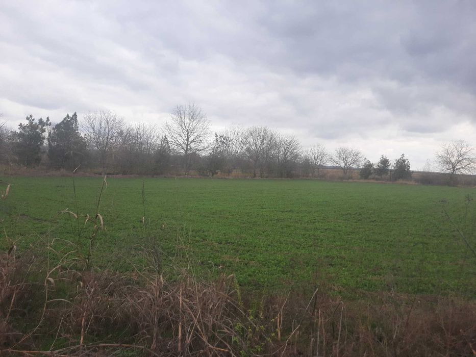 Овчарник - селскостопански двор, с. Честименско