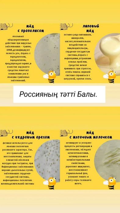 Бал (Мёд) Катон Қарағайдікі