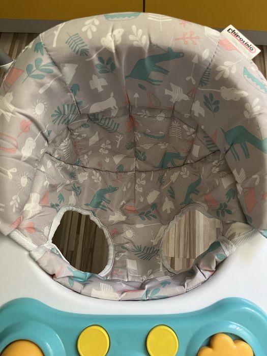 Паяк проходилка