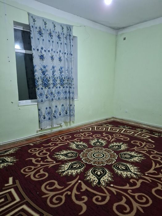 3 honalik katij ijaraga beriladi