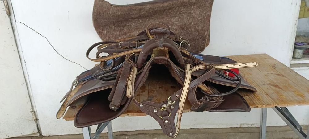 Продаю седло (ертокым)