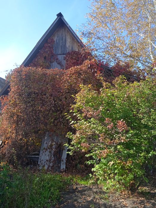 Продам дачу с/о "Веснянка"